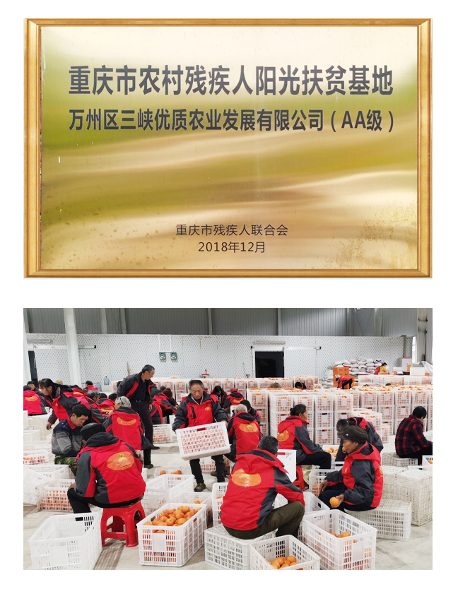 重慶市農村殘疾人陽光扶貧基地